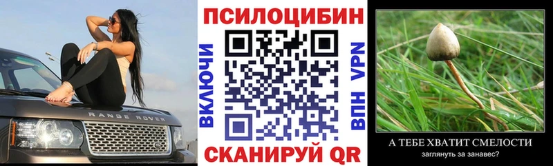 Псилоцибиновые грибы мицелий  продажа наркотиков  OMG ссылка  Приволжск 