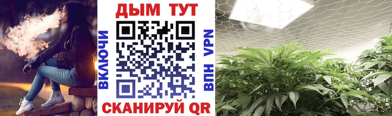 Бошки Шишки индика  продажа наркотиков  omg онион  Приволжск 
